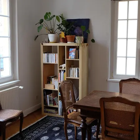 Chez Schaetzele - Joli Strasbourgeois Appartement *